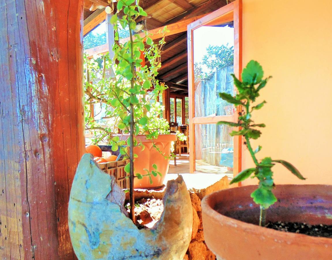 Agriturismo Calamosche Hotel Noto Luaran gambar