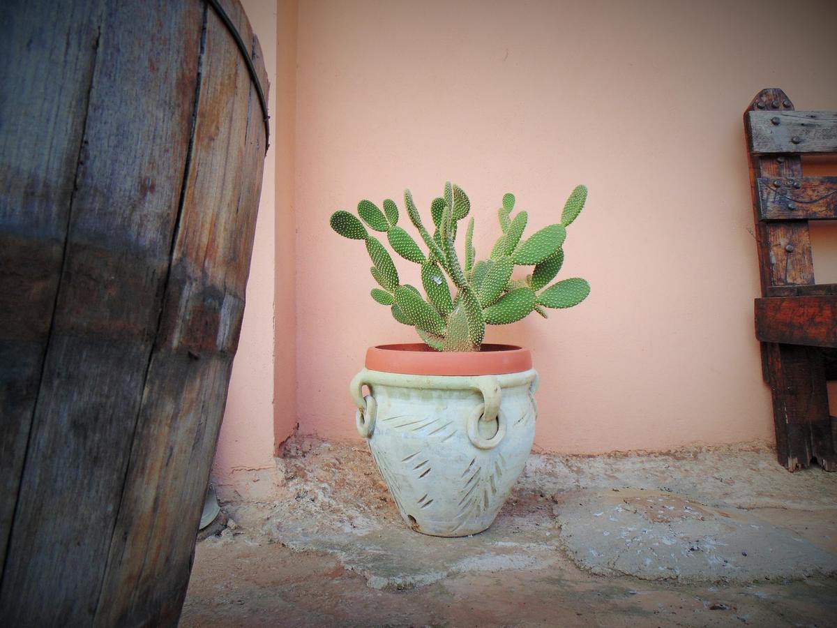 Agriturismo Calamosche Hotel Noto Luaran gambar